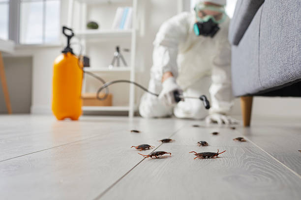 Commercial Kitchen Cockroach Control in Lenox